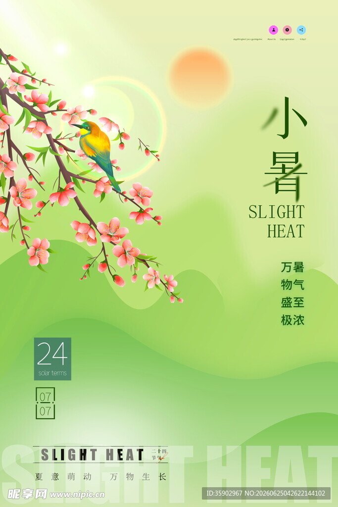 小暑时节花枝鸟儿图