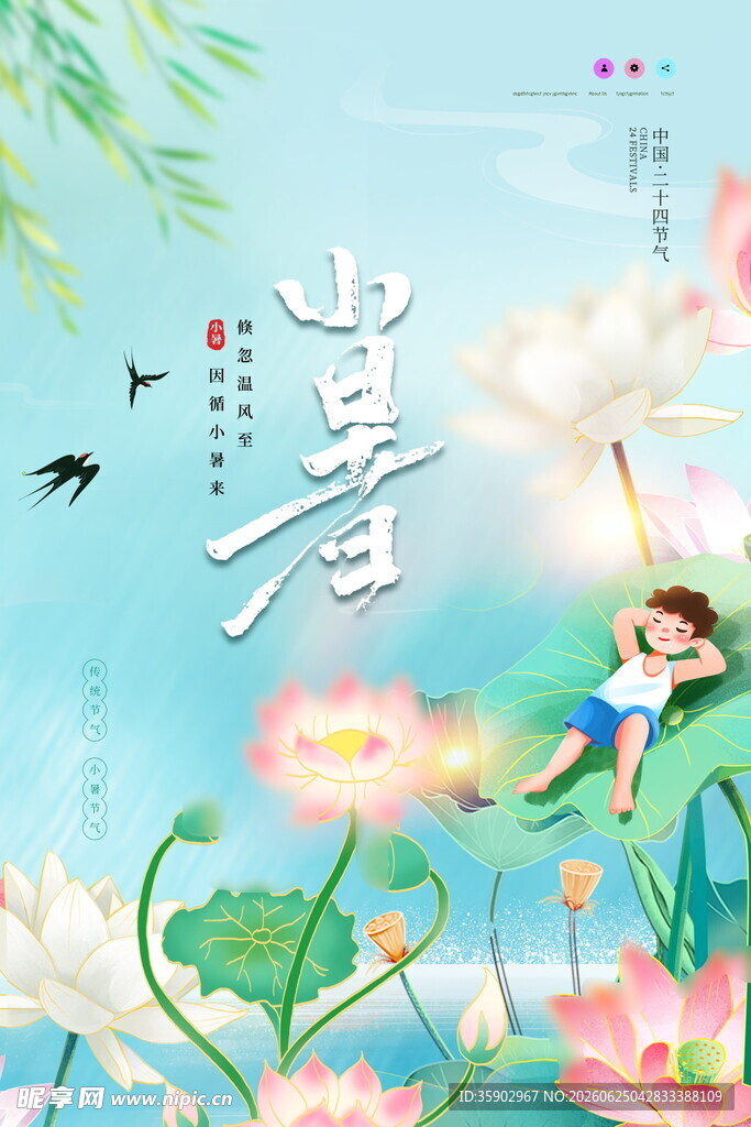 夏日少女荷间悠然赏景