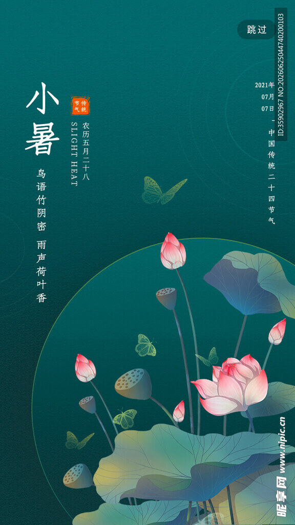 小暑时节荷花绽放图景