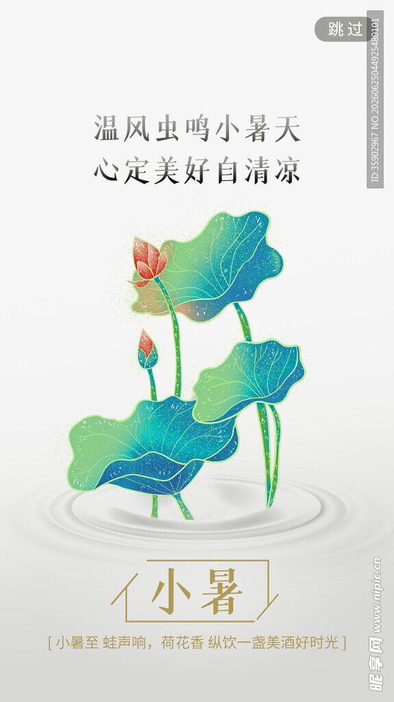 小暑时节的国风荷花图景