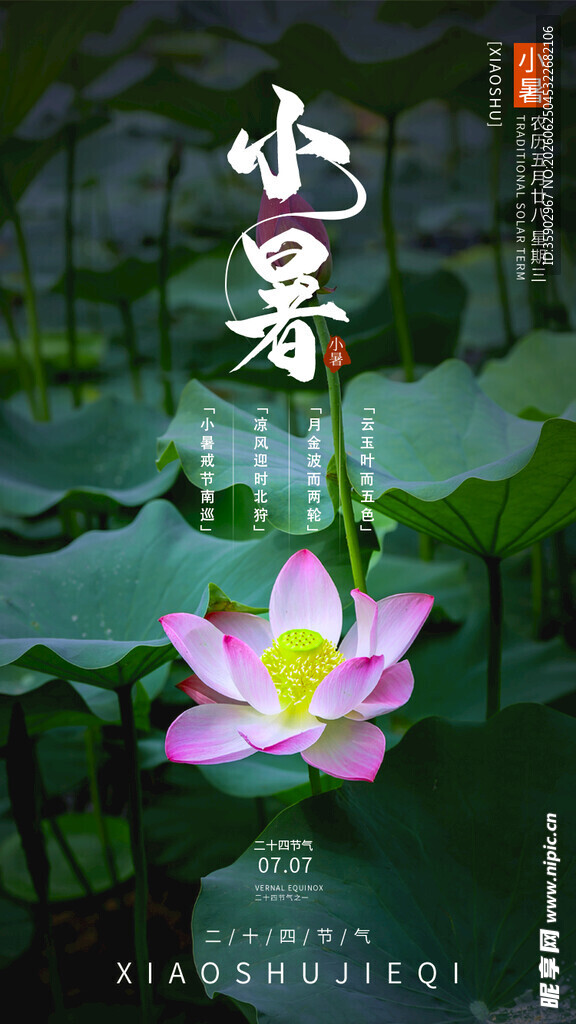 水墨荷花图中式意境之美