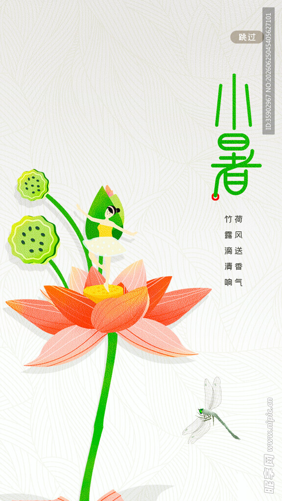 小暑时节荷花蜻蜓图