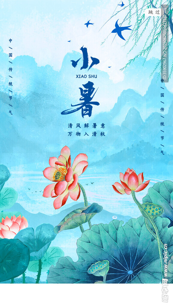小暑时节荷花绽放图景