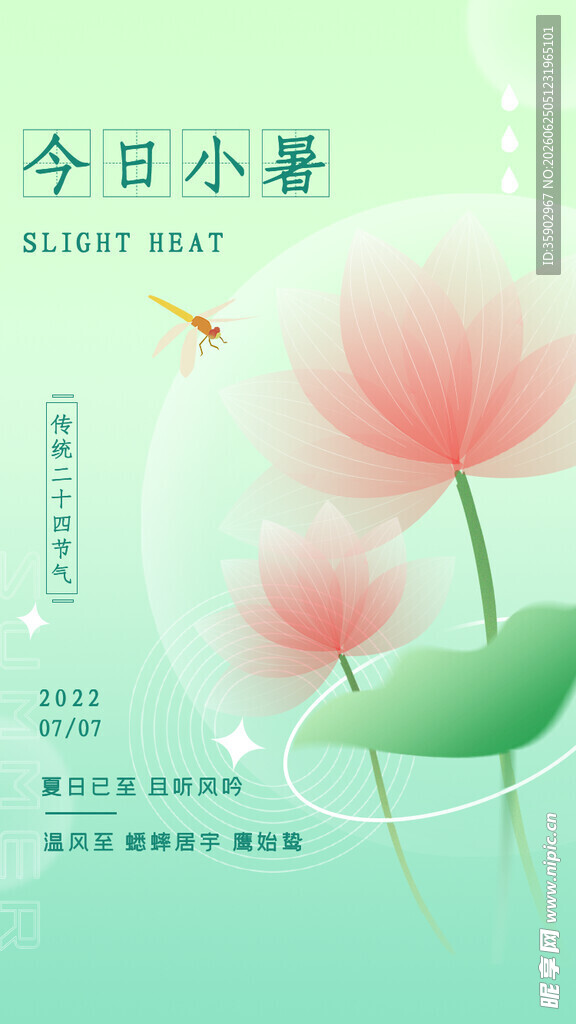 今日小暑清新荷花图