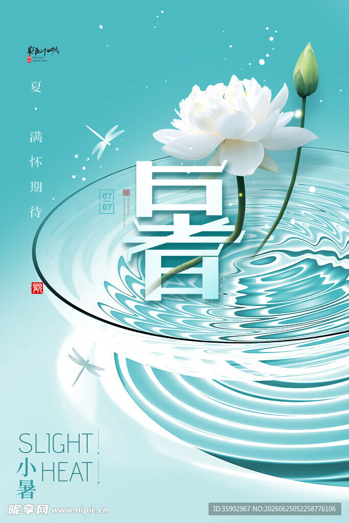 夏日荷花与水韵意境图