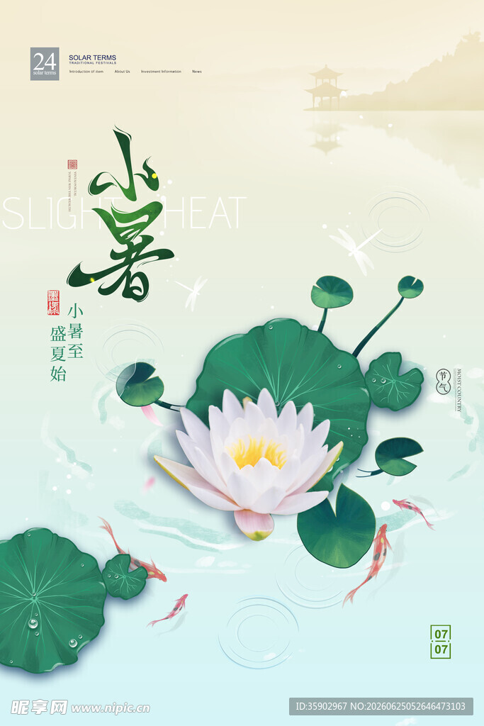 小暑时节荷花绽放图