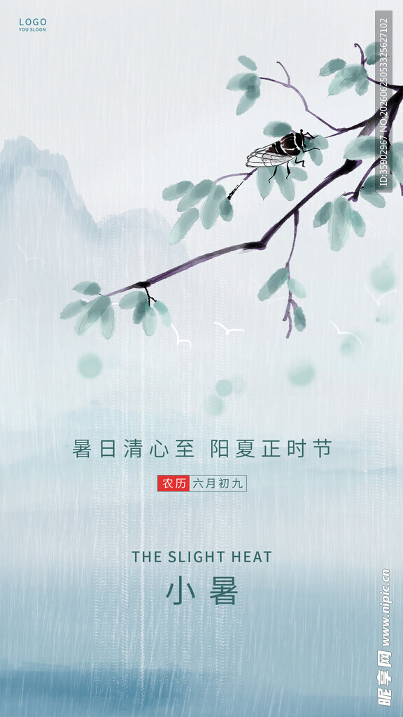 小暑时节枝头绿意与红果