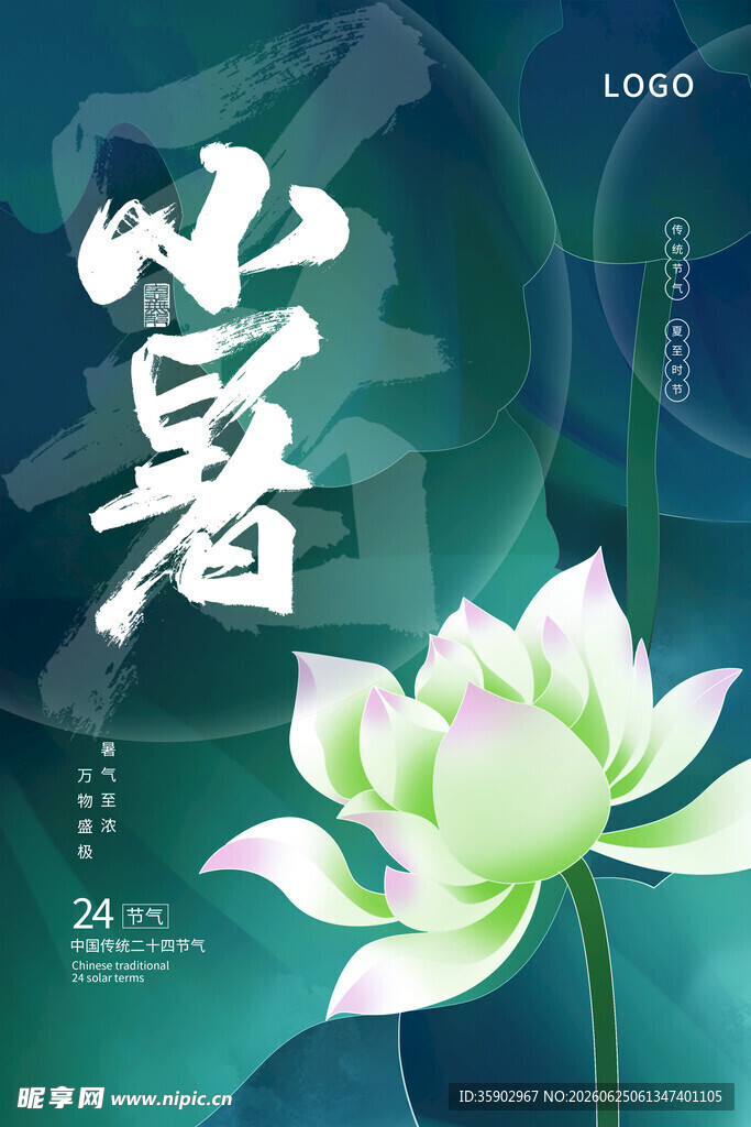 小暑时节清新荷花绽放