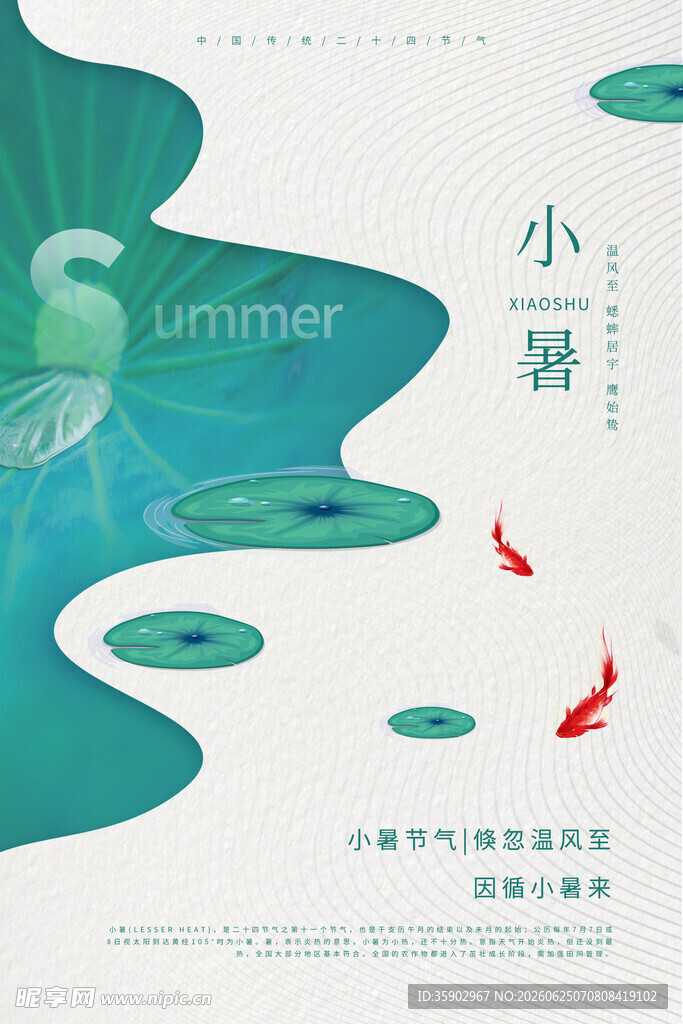 小暑时节锦鲤游于绿水间