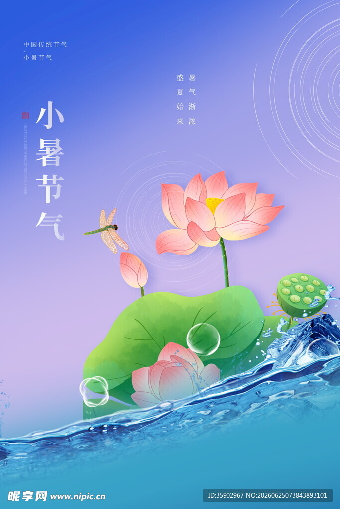 小暑节气荷花水景插画