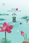 小暑时节荷花绽放美景