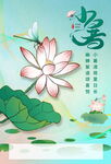 夏至时节荷花绽放图景