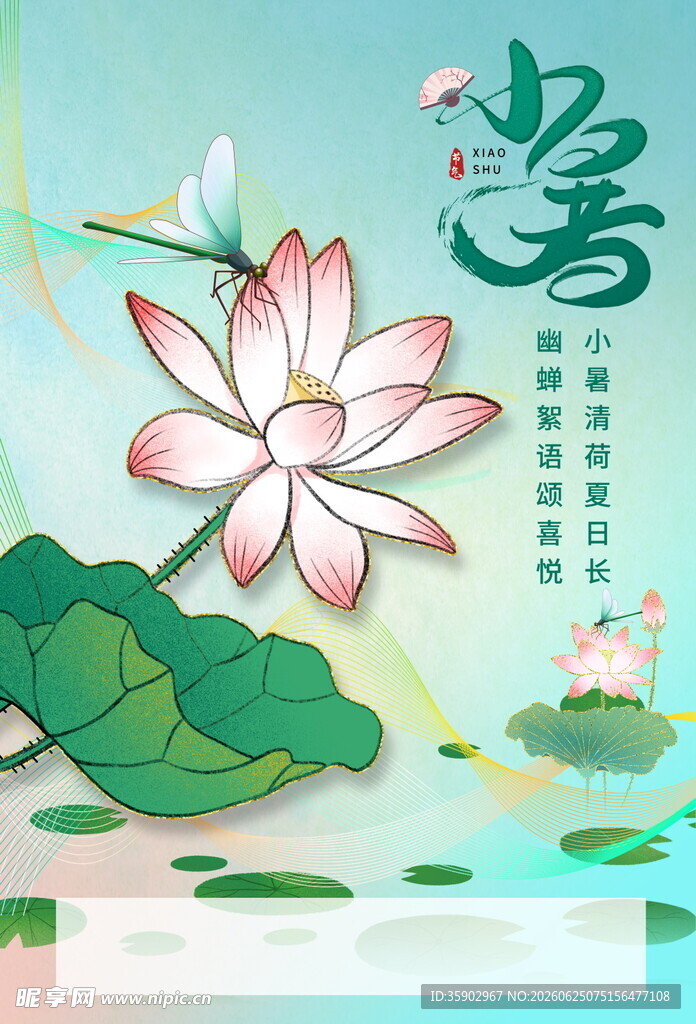夏至时节荷花绽放图景