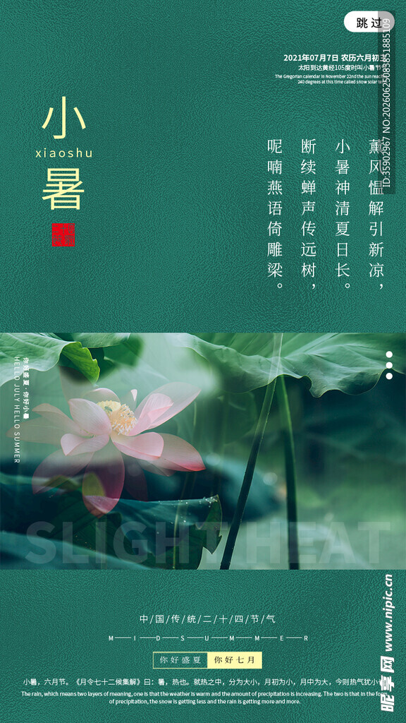 小暑时节荷塘美景