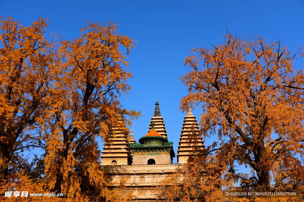 秋日下的古建筑美景
