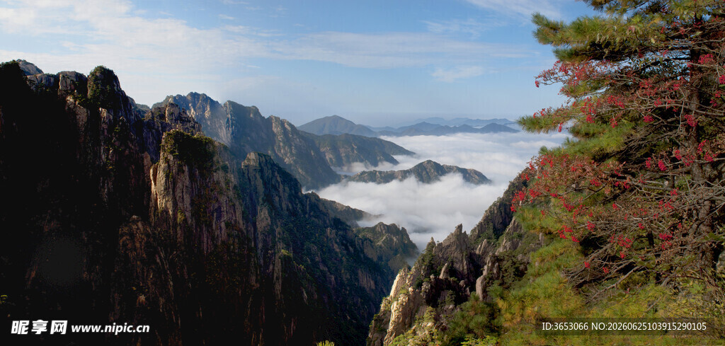 黄山壮丽云海与奇峰景观