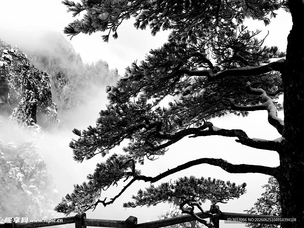 黄山松景云雾缭绕之美