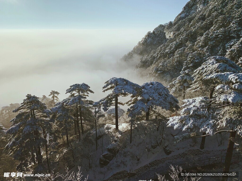 雪覆山林间的静谧景致