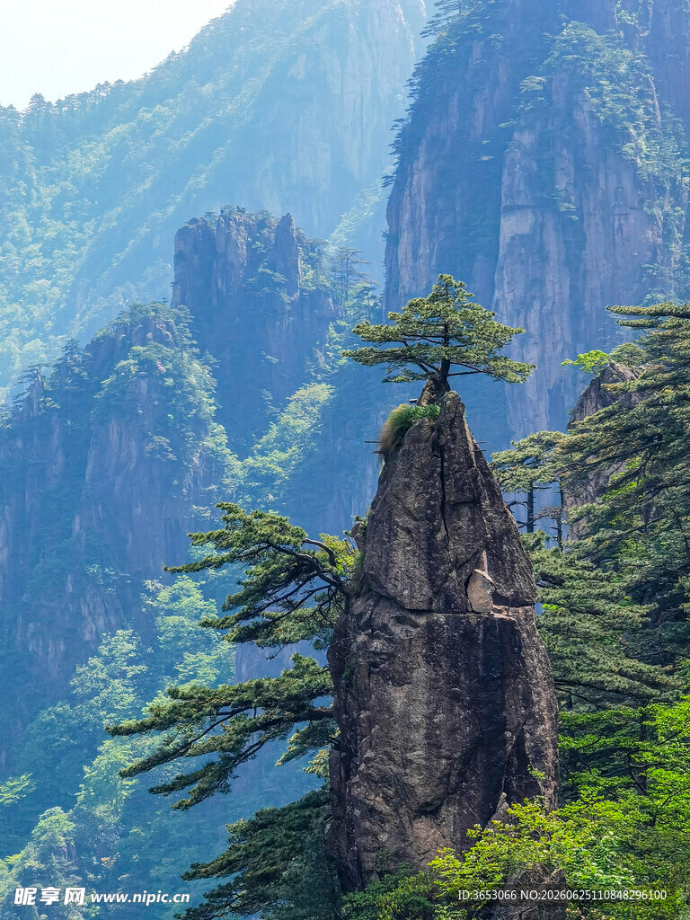 奇峰挺立伴青松