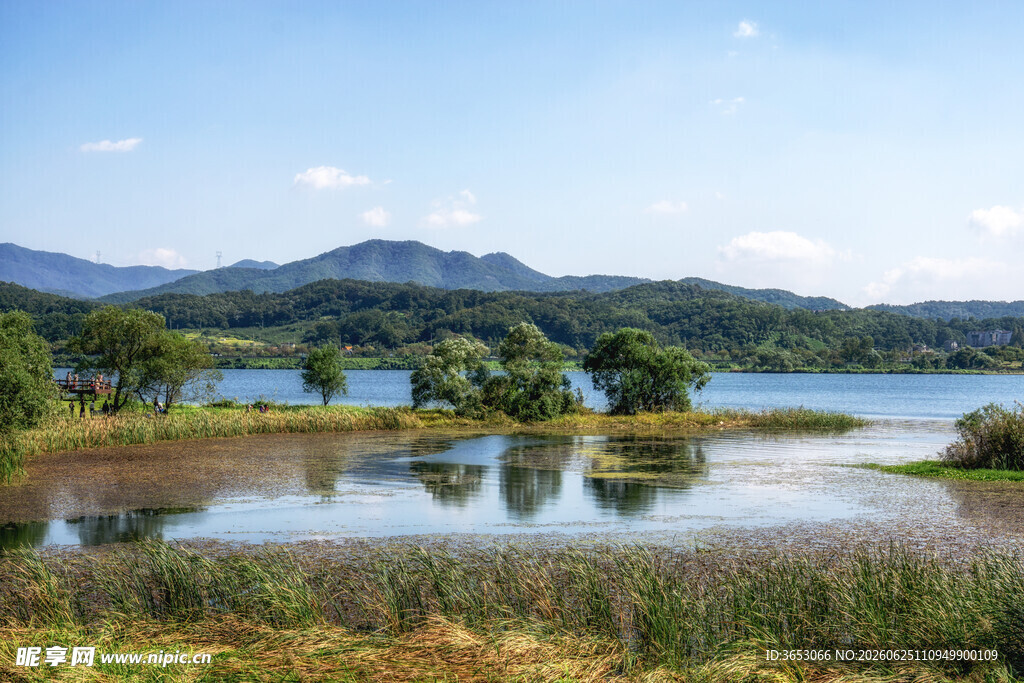 湖畔风光自然绿意美景