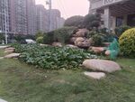 小区内的绿植与景观石