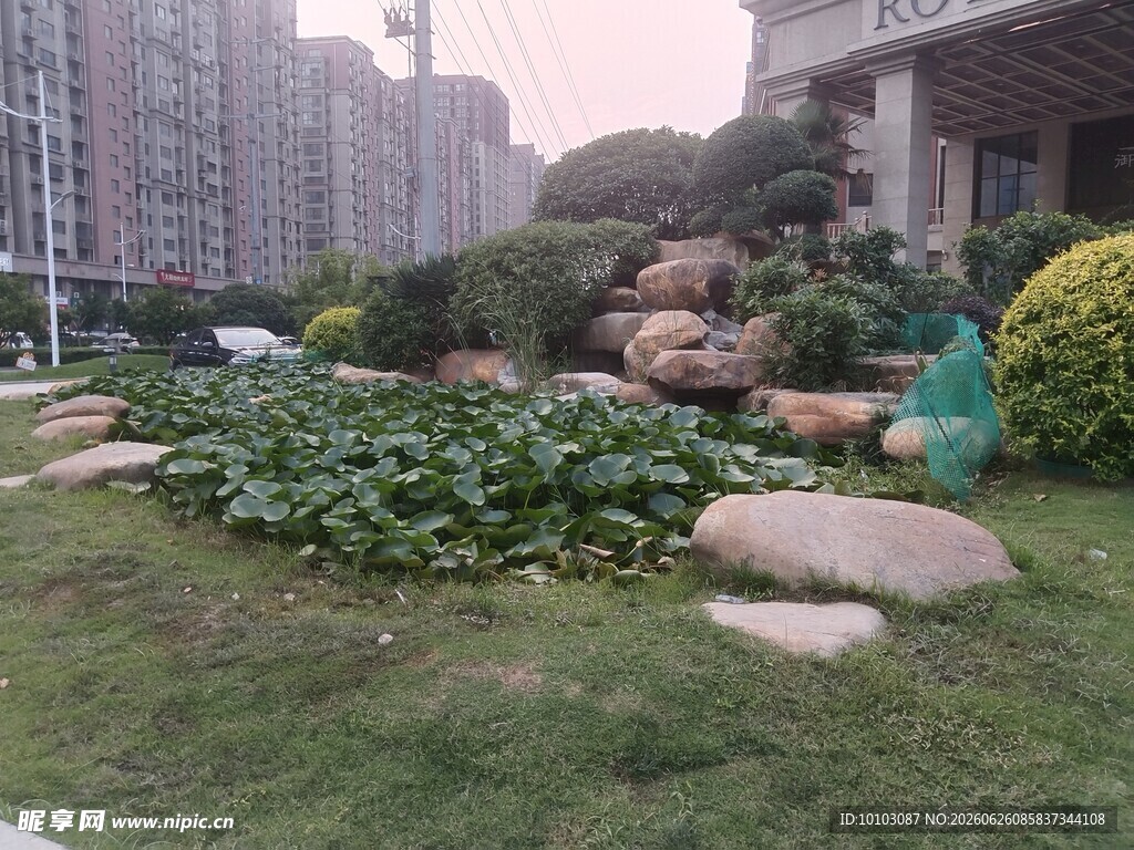 小区内的绿植与景观石