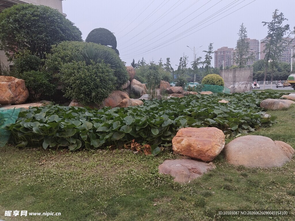 园林景观中的石头与绿植
