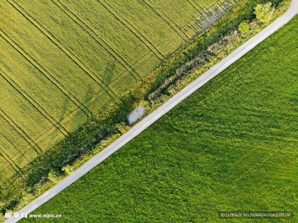 航拍绿野间的蜿蜒道路