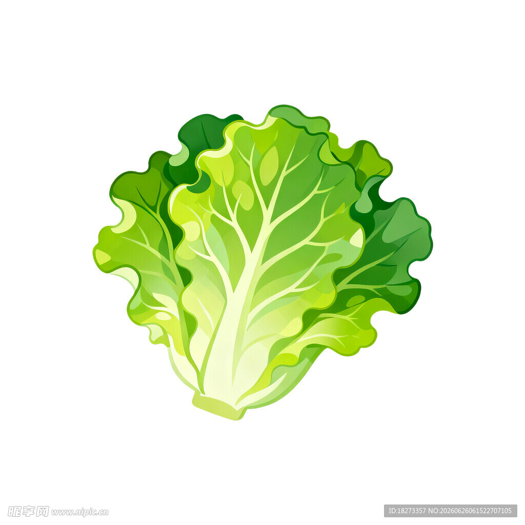 生菜