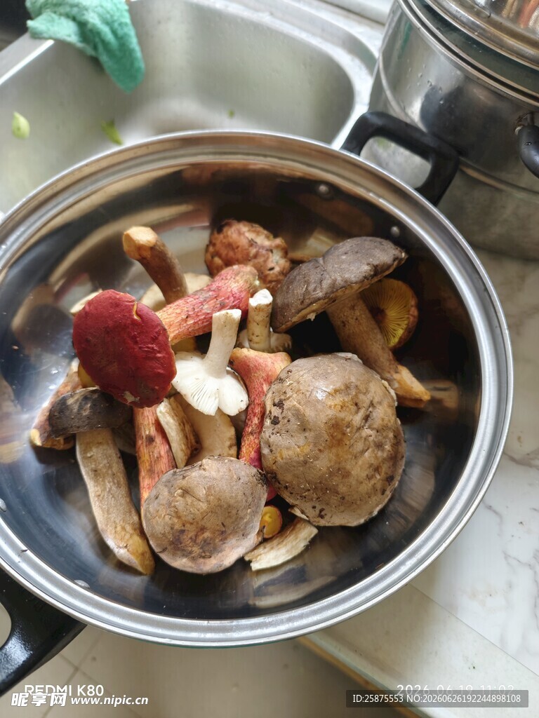 锅中多彩食材待烹饪