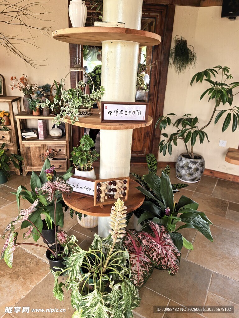 稻梦空间 室内多层花架绿植景观