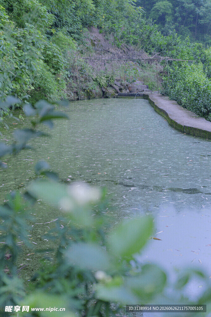 山间静谧池塘景色