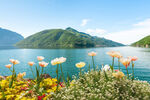 湖畔繁花与远山美景