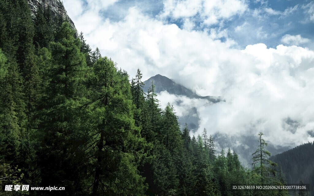 山林云海美景