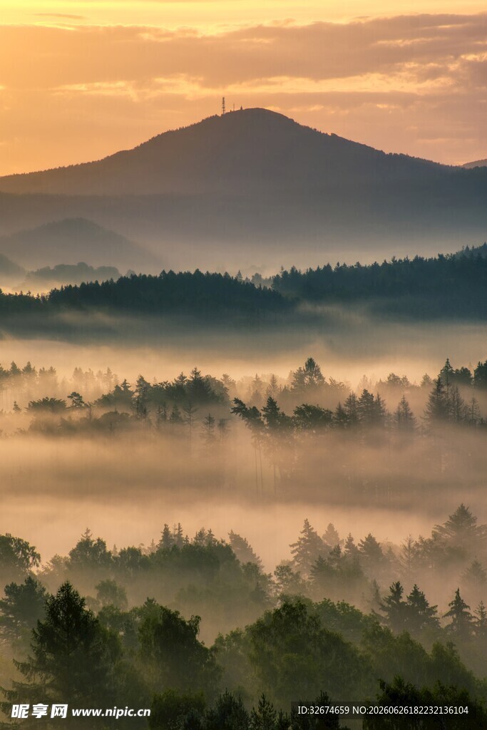 晨雾中的山林美景