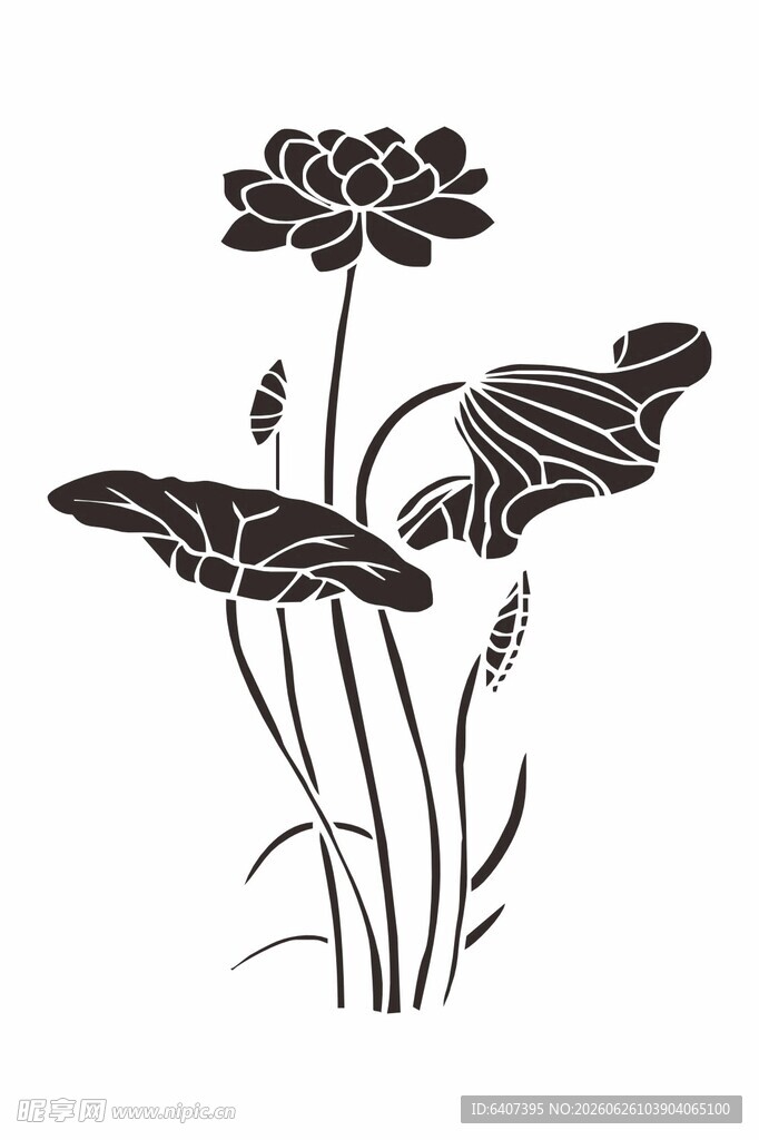 黑白花卉植物图案
