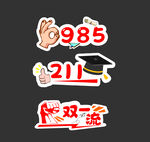 985 211 双一流