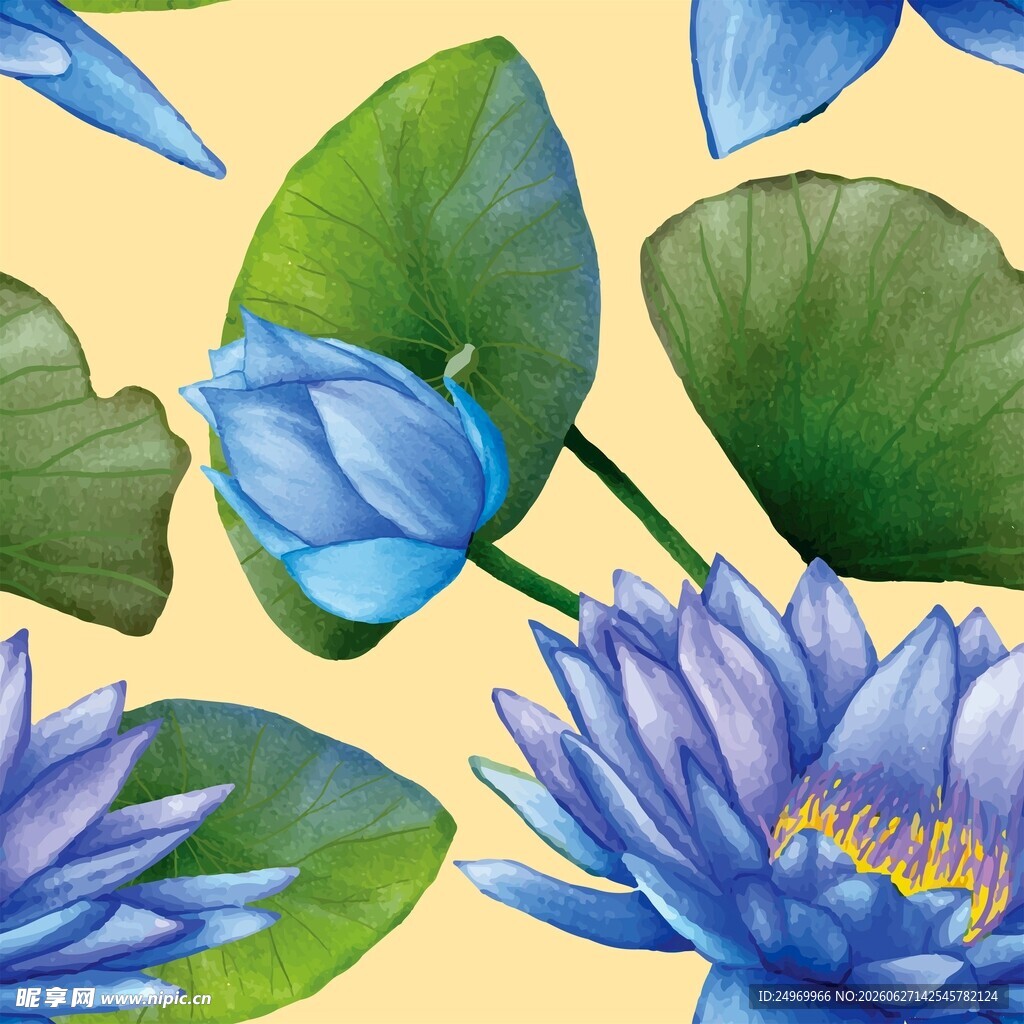 蓝莲花与荷叶水彩插画
