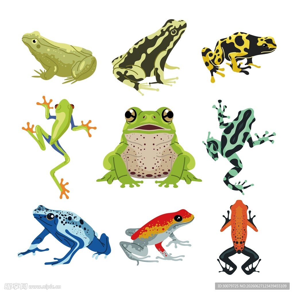 青蛙插画集合