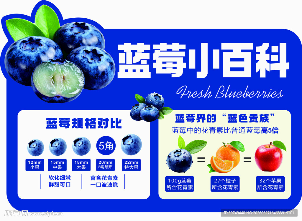 蓝莓小百科 营养与挑选知识