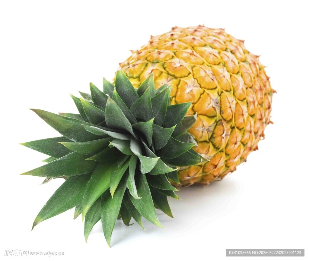 新鲜菠萝