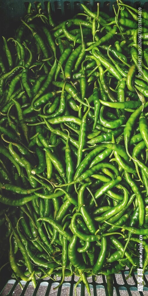 新鲜翠绿的长豆角