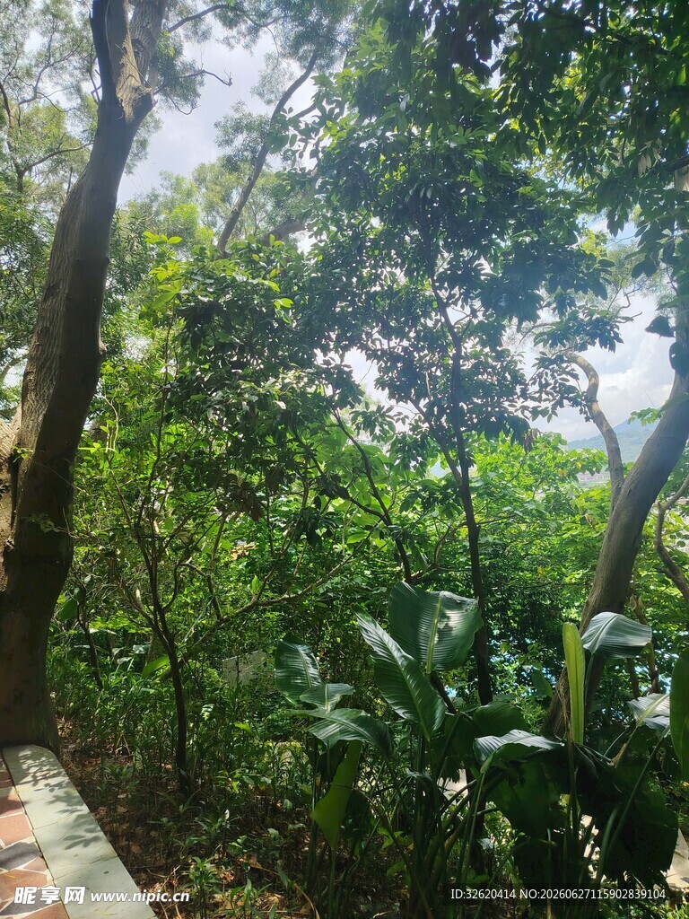 林间小道