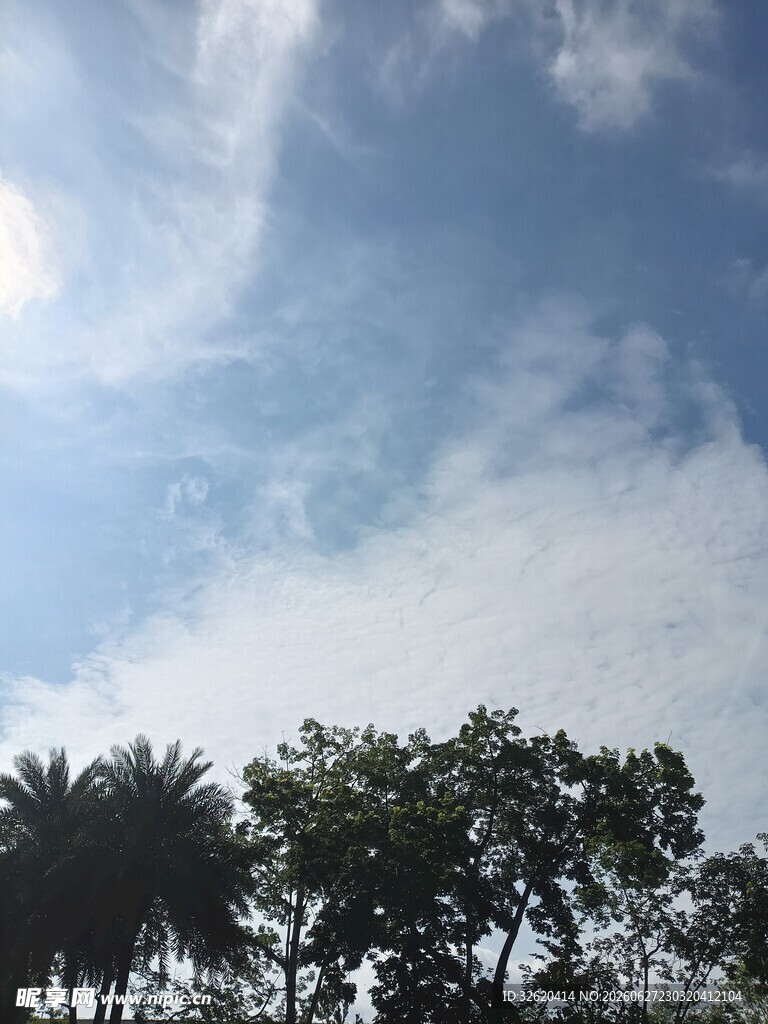 蓝天绿树间的晴朗景象