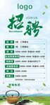 茶叶公司招聘启事