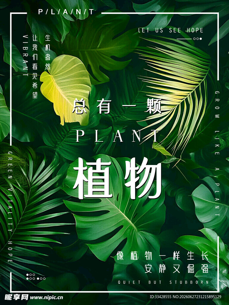 植物海报