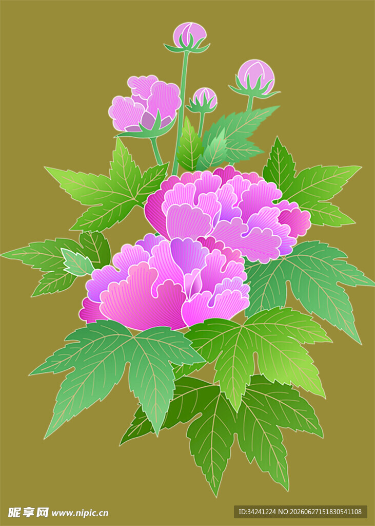 粉色牡丹花与绿叶插画