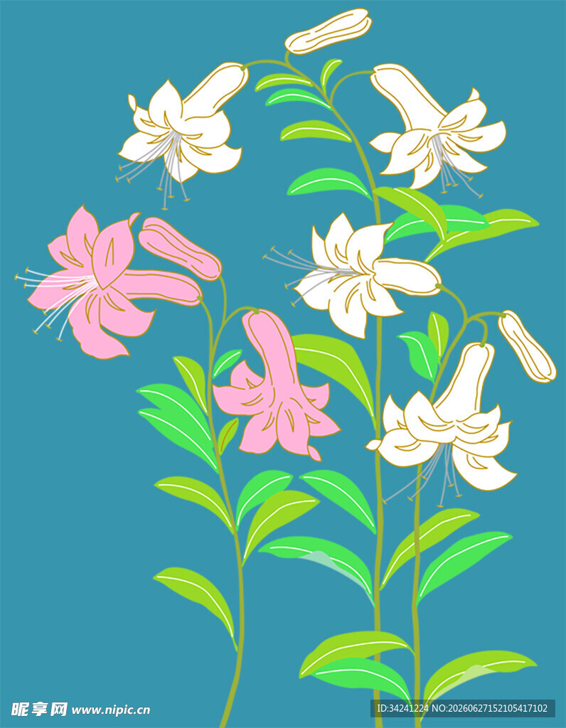 清新花卉插画