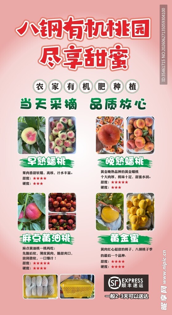 桃你欢心 尽享甜蜜 桃子广告 
