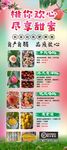桃你欢心 尽享甜蜜 桃子广告